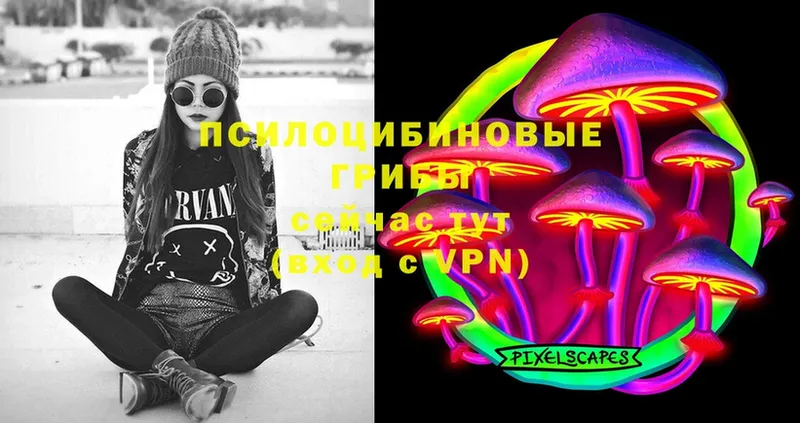 купить   Тырныауз  Галлюциногенные грибы Cubensis 